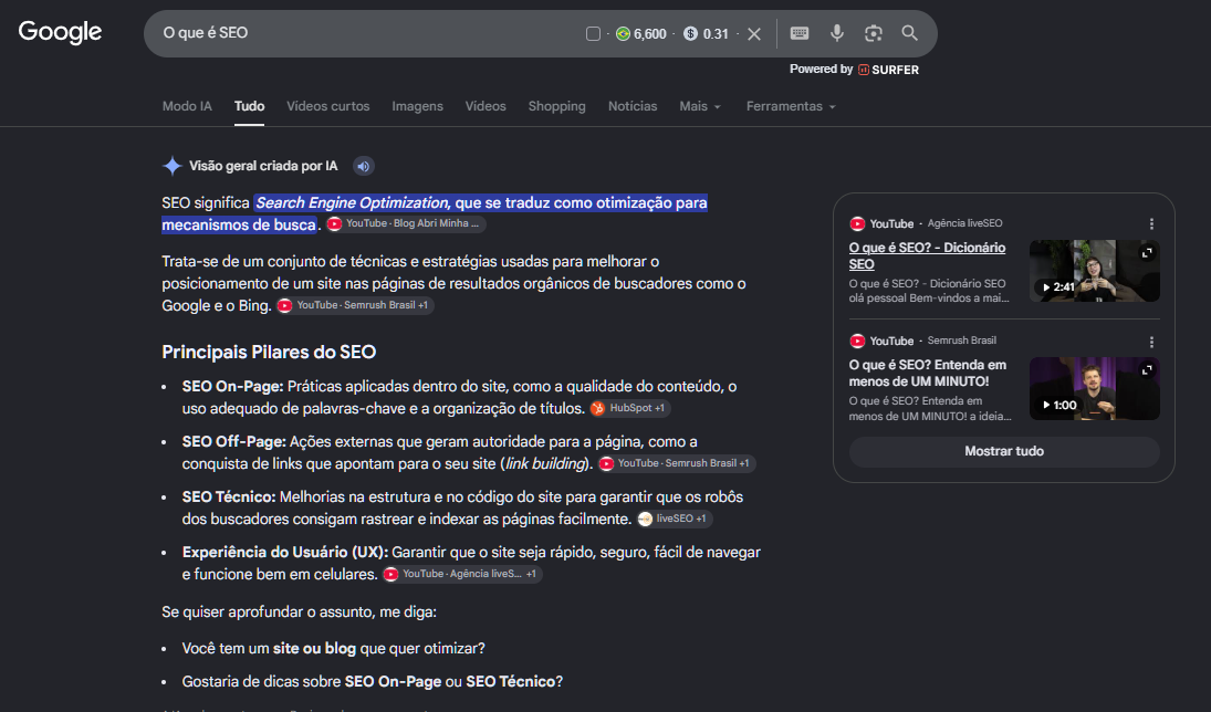 imagem de IA Overview com a Query "O que é SEO"